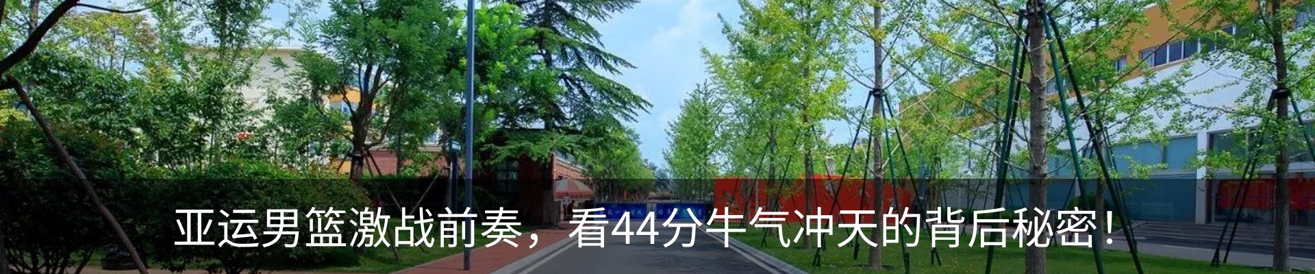 新闻动态